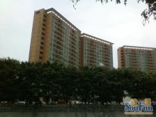 东城电梯房,总价低,业主诚意出售。