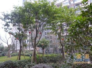 华宇阳光四季2室1厅东西