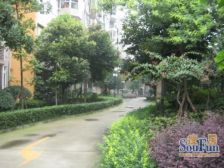 上锦雅筑 1室1厅 东