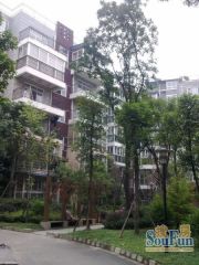 鹃城印象2室1厅东南