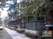 经典魅力3室1厅南