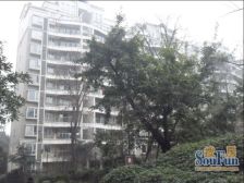 诺金山 3室1厅 东南