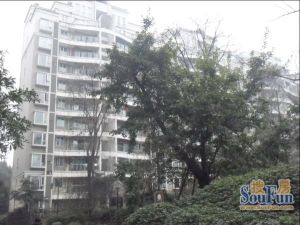 诺金山 3室1厅 东南