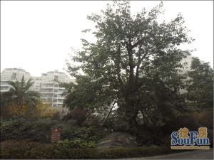 诺金山3室2厅东北