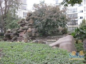 荷塘月色(红光)3室1厅东南