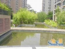 大儒世家卧琥 5室3厅 南 北