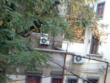 独栋老房子只要2000万