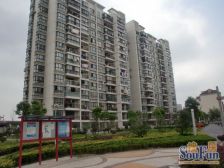 高楼层,视野好,电梯房 全南户型