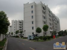 法式简约装修+采光好+大飘窗+精装修+拎包入住