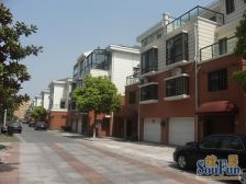 奉贤新城+环城东路地铁站+联排别墅+精装修带大院子