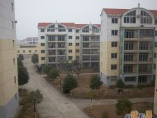 小区环境安静,前后无遮挡,感光度极好,户型居住舒适度高