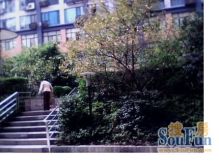 丰尚玉林商务港1室1厅东南