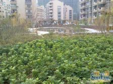 大学城上街站200米精装.大平层