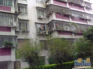 免佣税费低全新精装品质户型正南正北大阳台