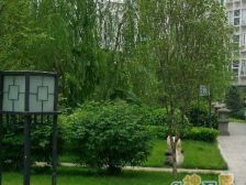 普君北路楼上,业主诚心出售,看房随时方便!