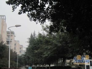 永泰雅居3室2厅西南