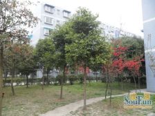 德坤竹韵坊 2室1厅 东南 西北