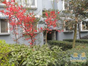 大庆蜀苑2室2厅东南