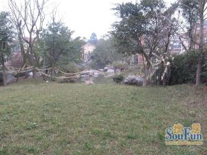 萨尔茨堡5室3厅东南