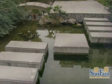 宗申流溪丽园2室1厅西南