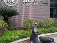 顶楼复式单价低毛坯采光好业主诚心出售