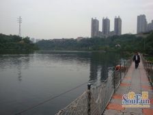 协信彩云湖1号 6室3厅 南