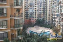 国际花园 1室1厅 东 南