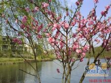 中安长岛 温泉入户 自带电梯 端户内独栋