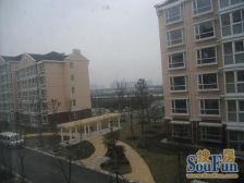 徐泾·河畔家苑·2室·2厅