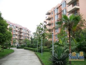 大庆蜀苑3室1厅东南