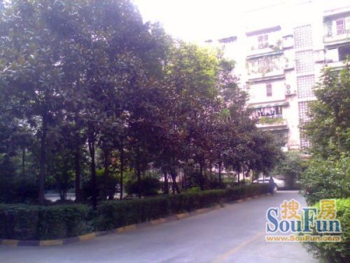 海棠金宇实景图