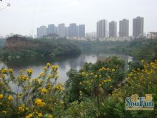 彩云湖联排端户 大花园 内圈 无抵押 随时看房