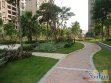 中海物业 厅大房大 高层 正南向