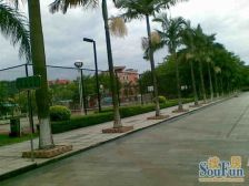 利澳花园 5室3厅 东南