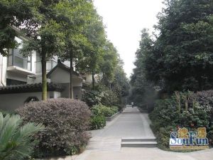 锦镇4室3厅东南