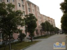 曹路·银丰苑·2室·1厅