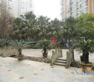 莲花新区 3室1厅 东南