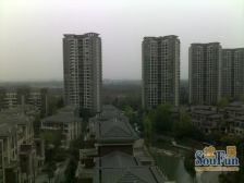 春天大道 5室2厅 南 北