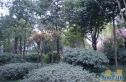 欣河苑实景图
