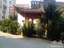 鼓楼 国色天香 朝南 单身公寓