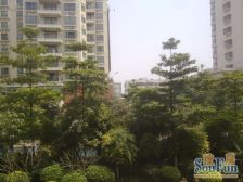 格局方正,视野开阔,交通便利,好租易售,价格便宜