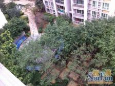 此房五年不唯一 新装修保养好诚心卖 南向 中层视野好