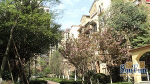 万科双水岸 4室2厅 东南