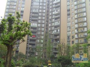 铸信境界3室1厅南北