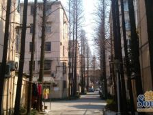 中间楼层,南北两房采光好,业主诚意出售