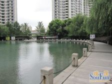 陆家嘴国际华城3室南朝向1800.00万元/套出售