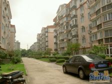 新望花园 3室2厅 南 北