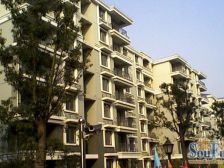 缘圆宝邸带有院子的一楼,位置好,采光好