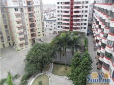 张家边国祥花园,全新装修,即看即所得,电梯大3房!