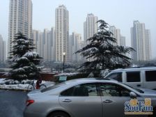 近地铁,通风好,电梯房 精装,新上房源